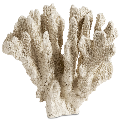 Belize coral sculpture